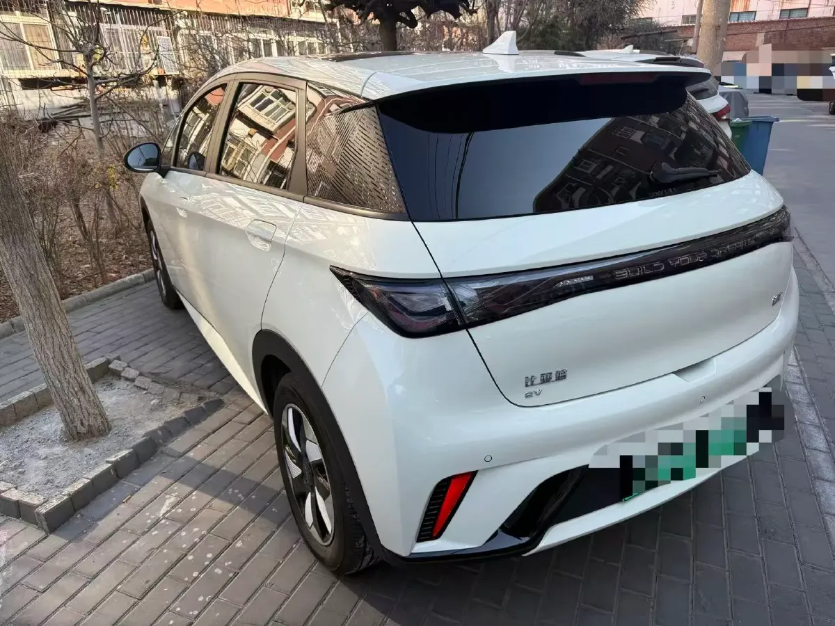 2024 BYD Dolphin BEV 44.928KWH,autocango,china used car exporter,china ev exporter,chinese used car exporter,chinese used ev exporter