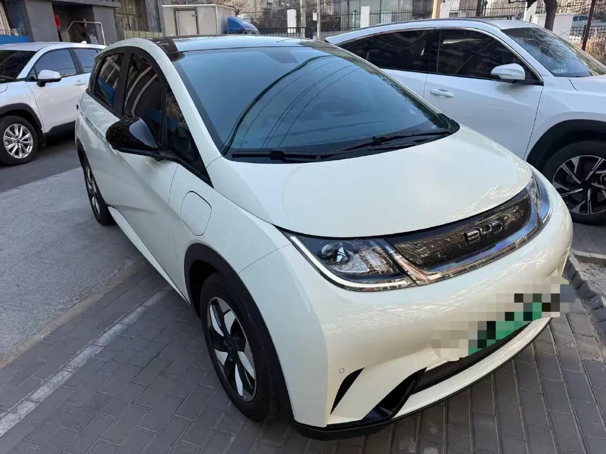 2024 BYD Dolphin BEV 44.928KWH,autocango,china used car exporter,china ev exporter,chinese used car exporter,chinese used ev exporter