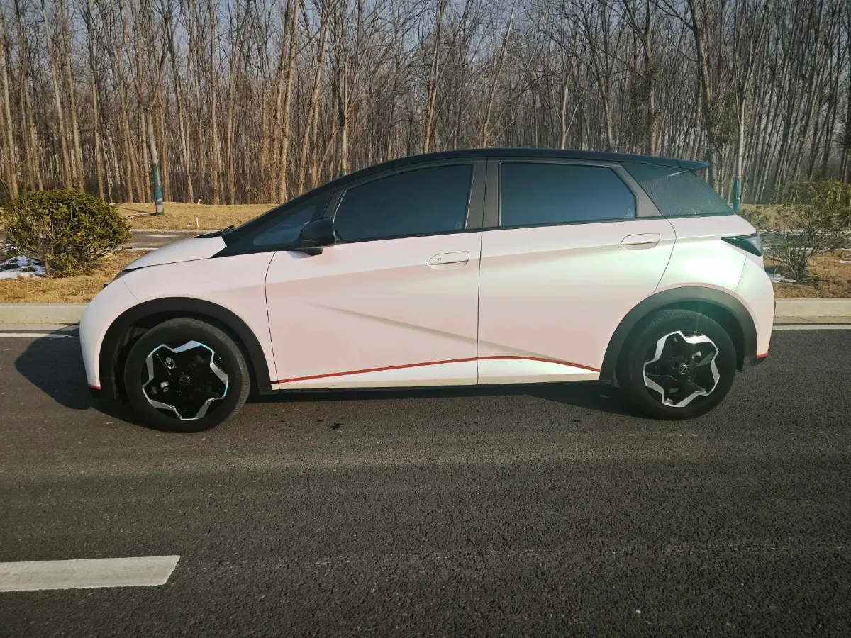 2021 BYD Yuan Pro BEV 50.1KWH,autocango,china used car exporter,china ev exporter,chinese used car exporter,chinese used ev exporter