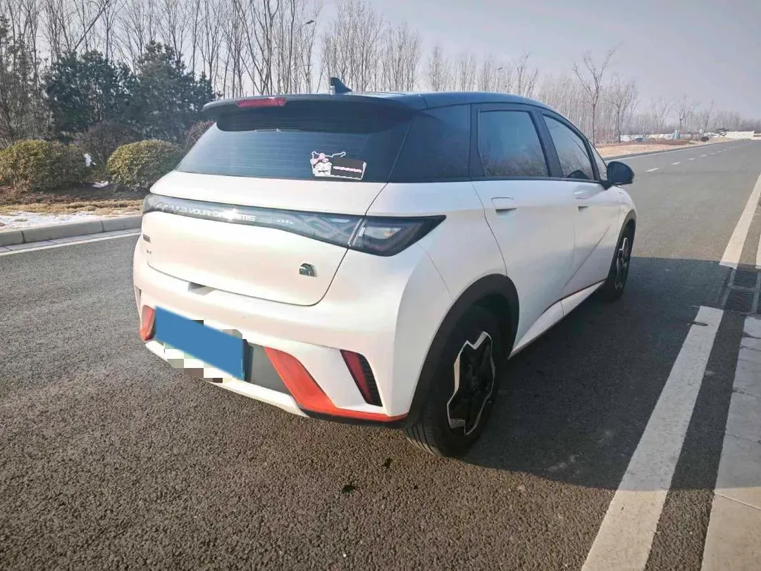 2021 BYD Yuan Pro BEV 50.1KWH,autocango,china used car exporter,china ev exporter,chinese used car exporter,chinese used ev exporter