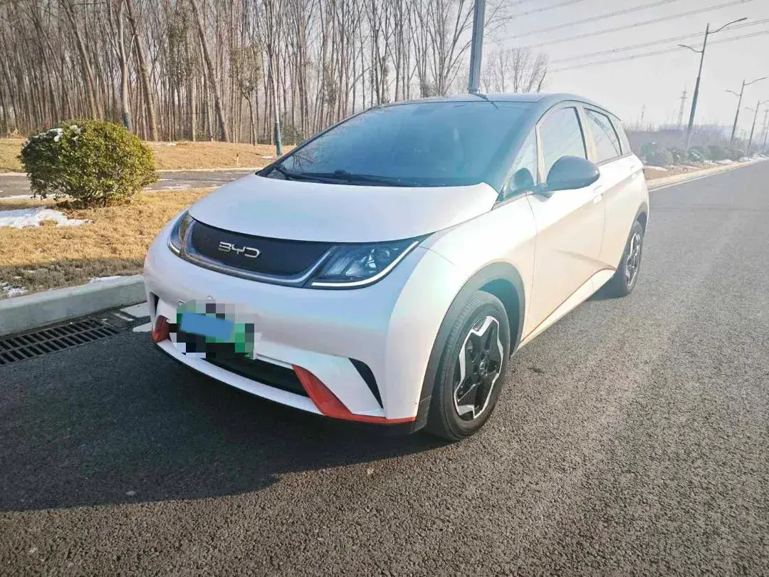 2021 BYD Yuan Pro BEV 50.1KWH