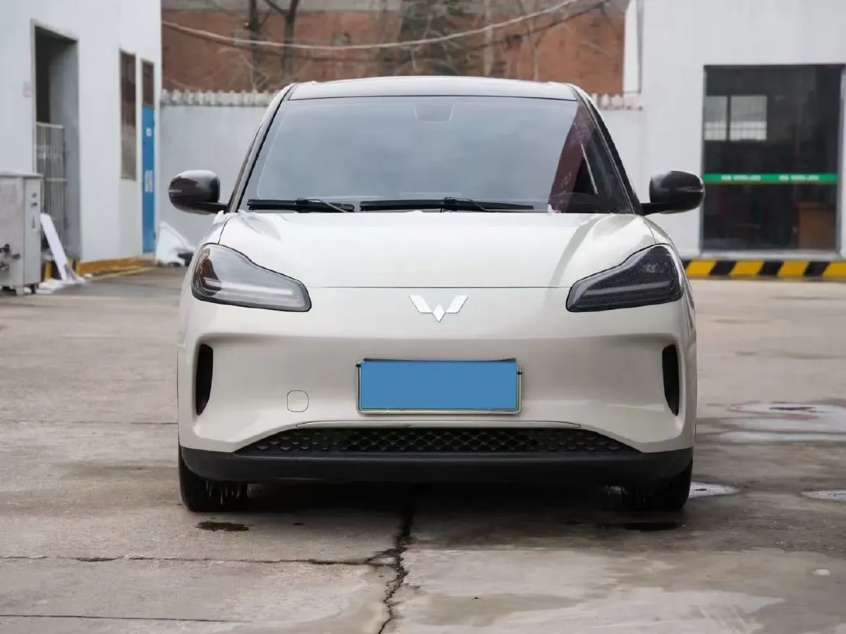2024 WuLing BinGuoPLUS BEV 31.9KWH,autocango,china used car exporter,china ev exporter,chinese used car exporter,chinese used ev exporter