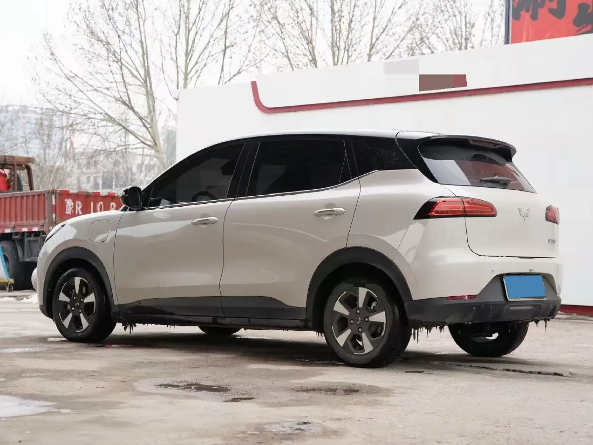 2024 WuLing BinGuoPLUS BEV 31.9KWH,autocango,china used car exporter,china ev exporter,chinese used car exporter,chinese used ev exporter