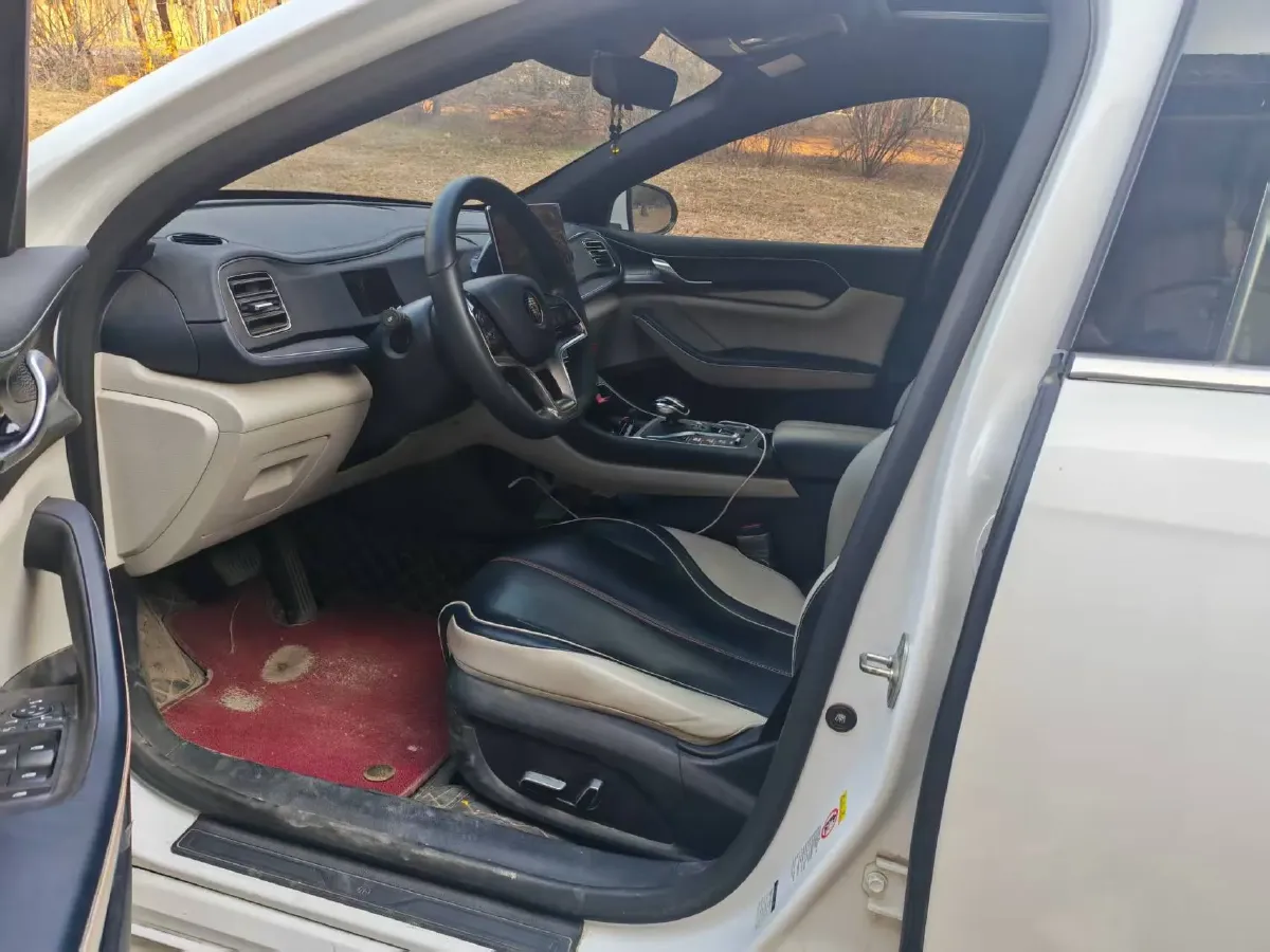 2021 DongFeng FuKang e Elysee BEV 30.7KWH,autocango,china used car exporter,china ev exporter,chinese used car exporter,chinese used ev exporter