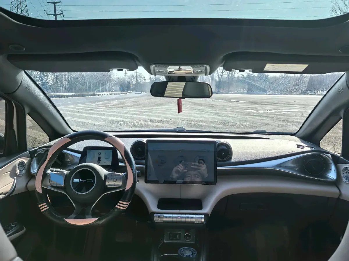 2023 BYD Dolphin BEV 44.928KWH,autocango,china used car exporter,china ev exporter,chinese used car exporter,chinese used ev exporter