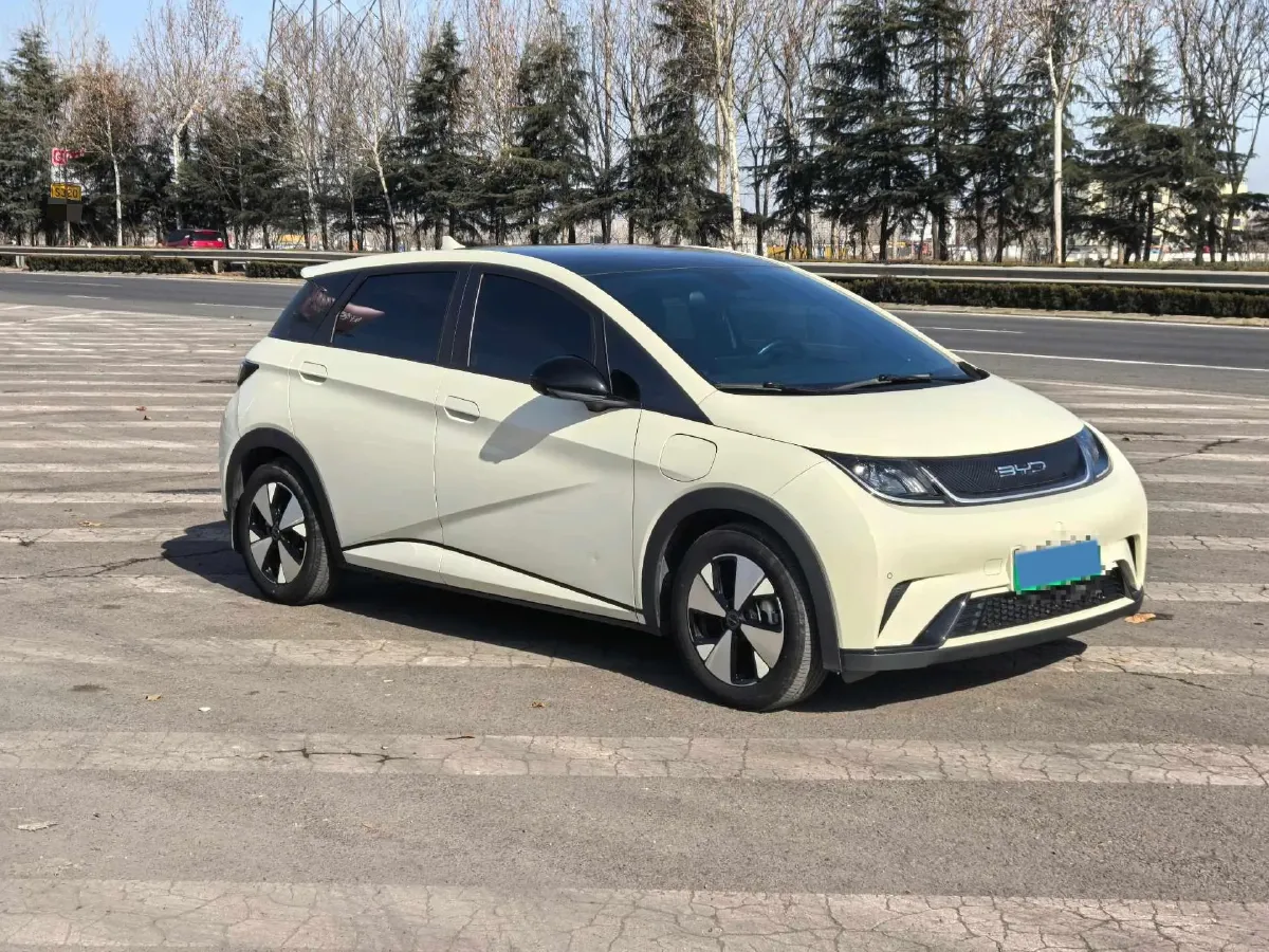 2023 BYD Dolphin BEV 44.928KWH,autocango,china used car exporter,china ev exporter,chinese used car exporter,chinese used ev exporter