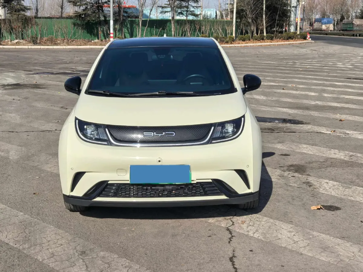 2023 BYD Dolphin BEV 44.928KWH,autocango,china used car exporter,china ev exporter,chinese used car exporter,chinese used ev exporter