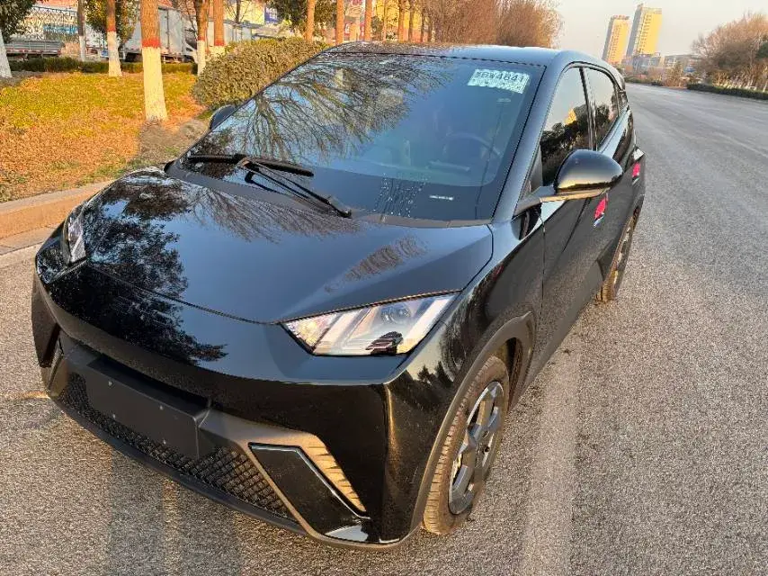 2023 BYD Yuan Pro BEV 38KWH