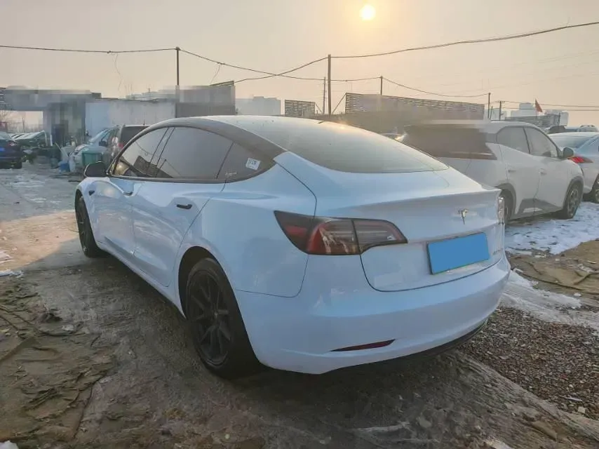 2021 Tesla Model 3 BEV 55KWH,autocango,china used car exporter,china ev exporter,chinese used car exporter,chinese used ev exporter