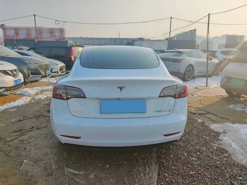 2021 Tesla Model 3 BEV 55KWH,autocango,china used car exporter,china ev exporter,chinese used car exporter,chinese used ev exporter