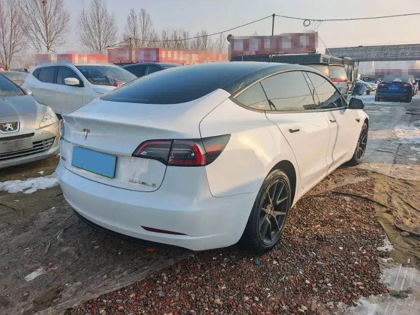 2021 Tesla Model 3 BEV 55KWH,autocango,china used car exporter,china ev exporter,chinese used car exporter,chinese used ev exporter