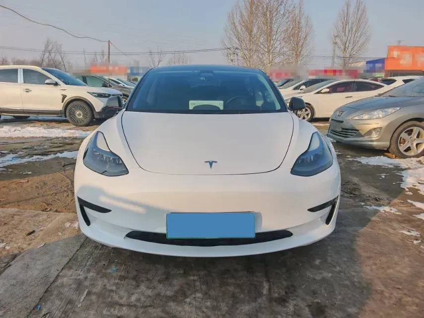 2021 Tesla Model 3 BEV 55KWH,autocango,china used car exporter,china ev exporter,chinese used car exporter,chinese used ev exporter