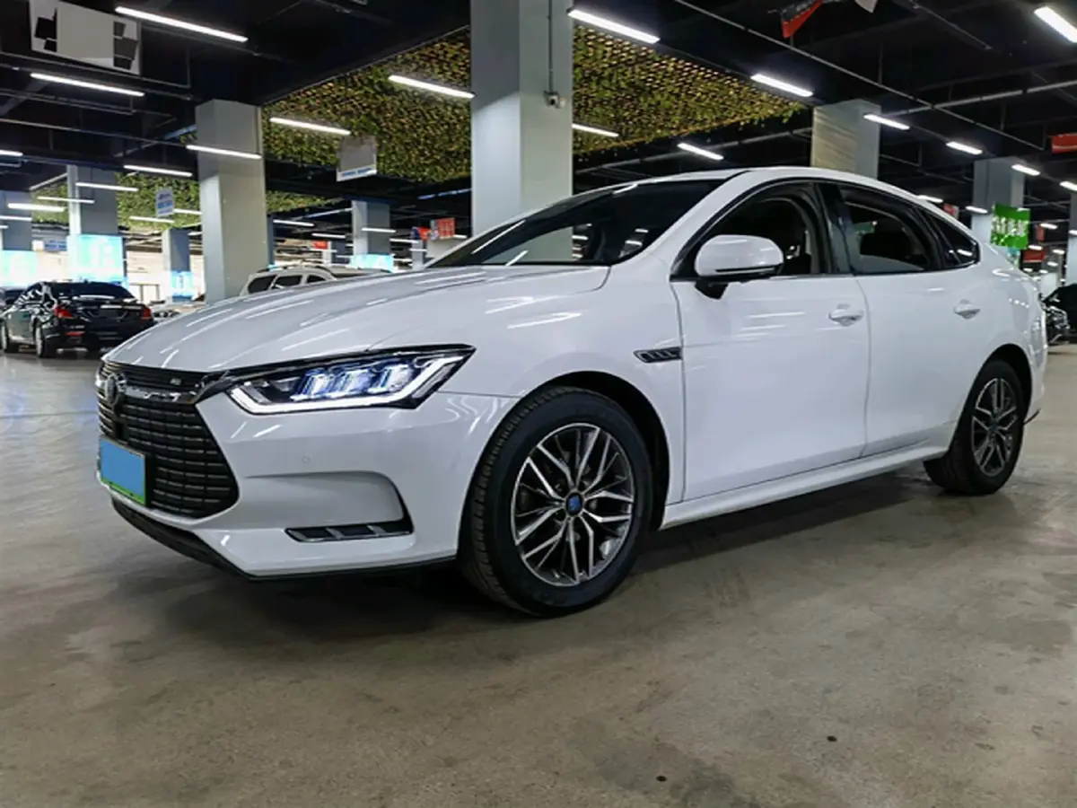 2019 BYD Qin Pro BEV 56.4KWH