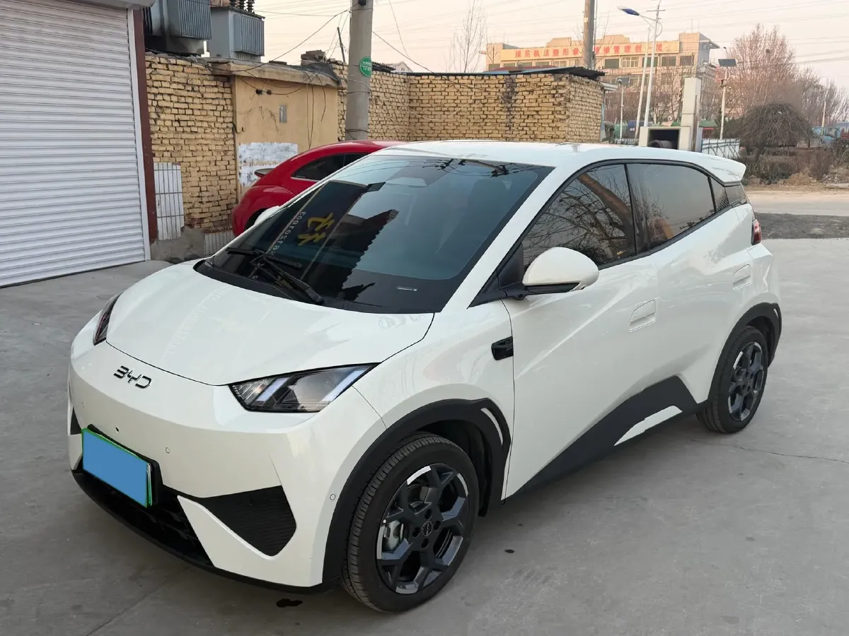 2025 BYD Seagull BEV 30.08KWH,autocango,china used car exporter,china ev exporter,chinese used car exporter,chinese used ev exporter