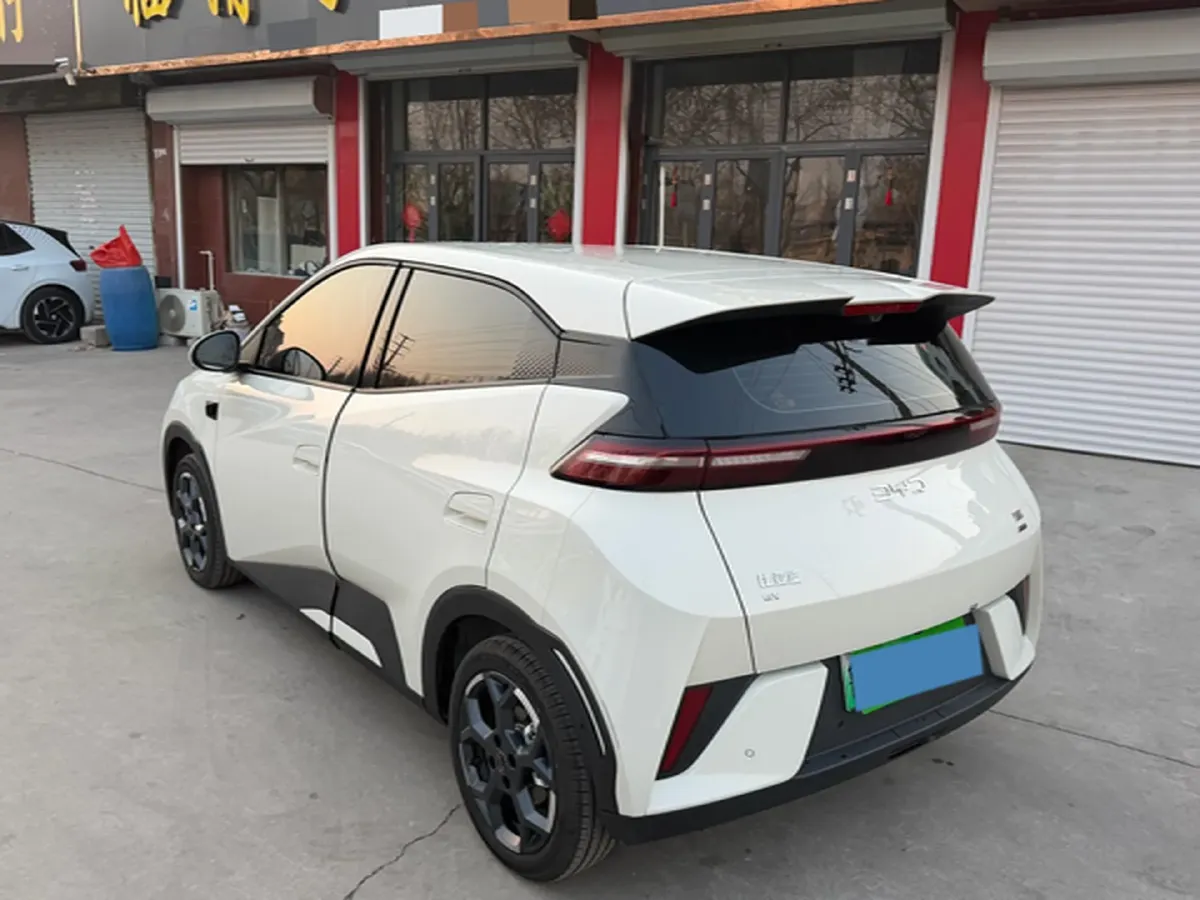 2025 BYD Seagull BEV 30.08KWH,autocango,china used car exporter,china ev exporter,chinese used car exporter,chinese used ev exporter