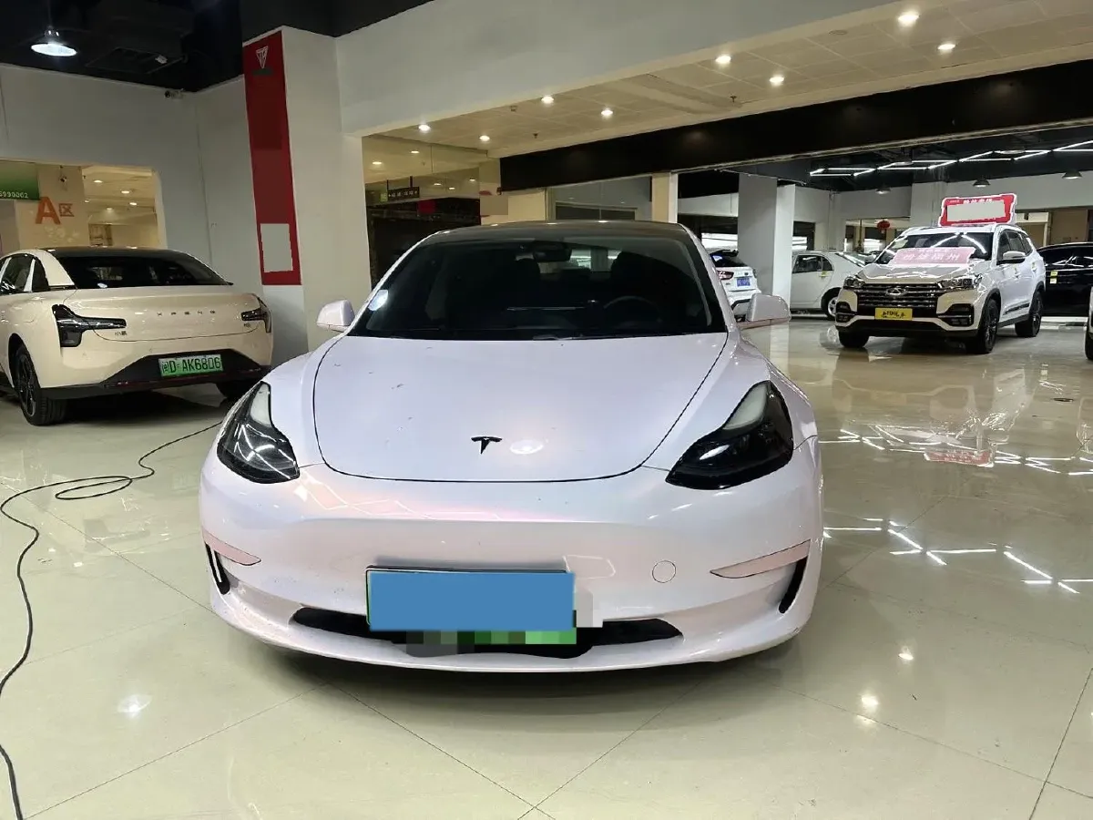 2021 Tesla Model 3 BEV 55KWH,autocango,china used car exporter,china ev exporter,chinese used car exporter,chinese used ev exporter