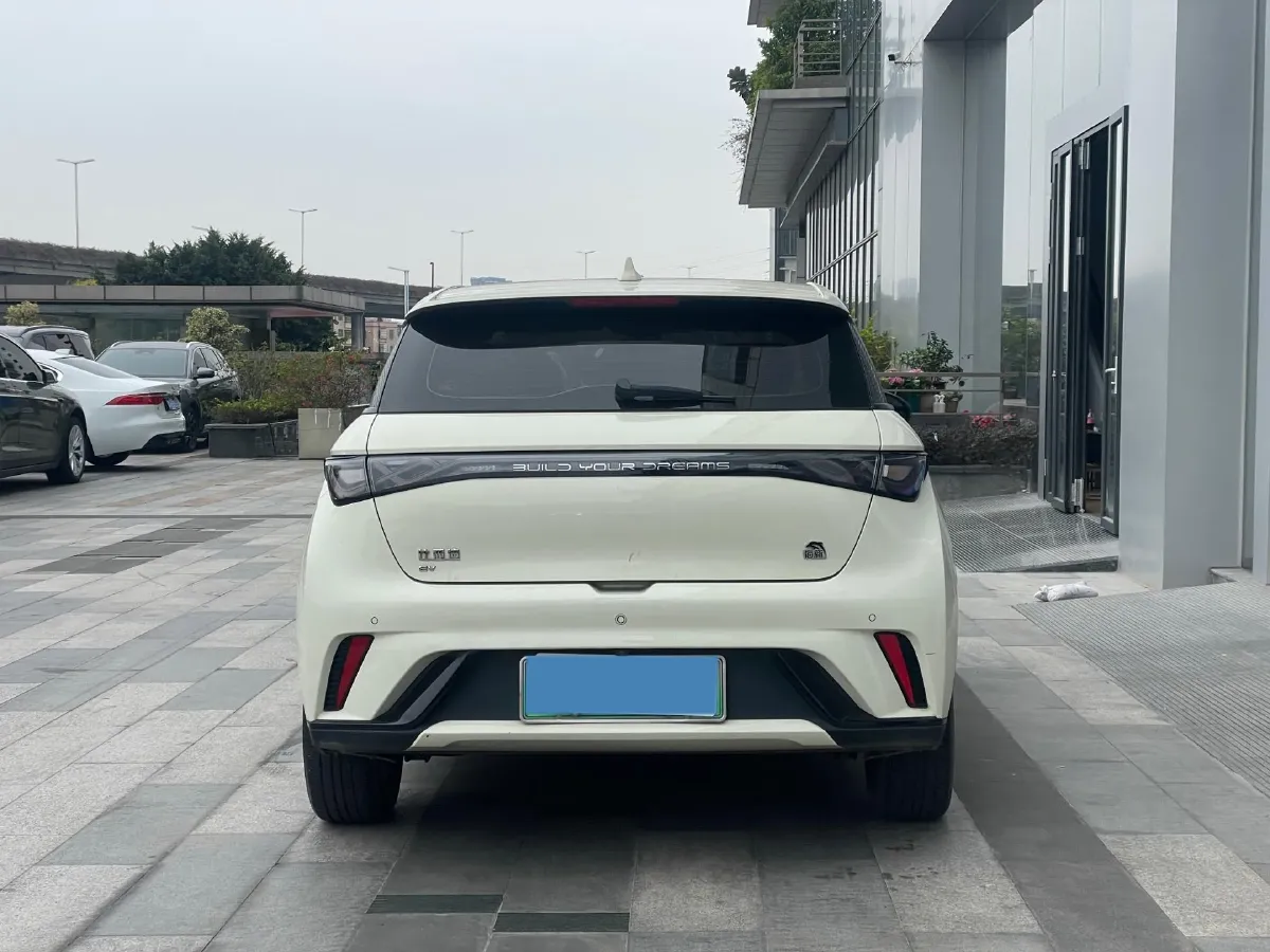 2023 BYD Dolphin BEV 44.928KWH,autocango,china used car exporter,china ev exporter,chinese used car exporter,chinese used ev exporter