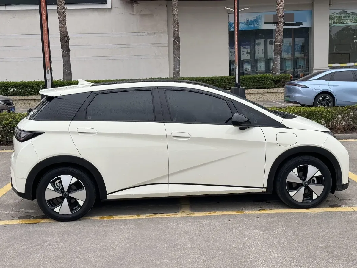 2023 BYD Dolphin BEV 44.928KWH,autocango,china used car exporter,china ev exporter,chinese used car exporter,chinese used ev exporter