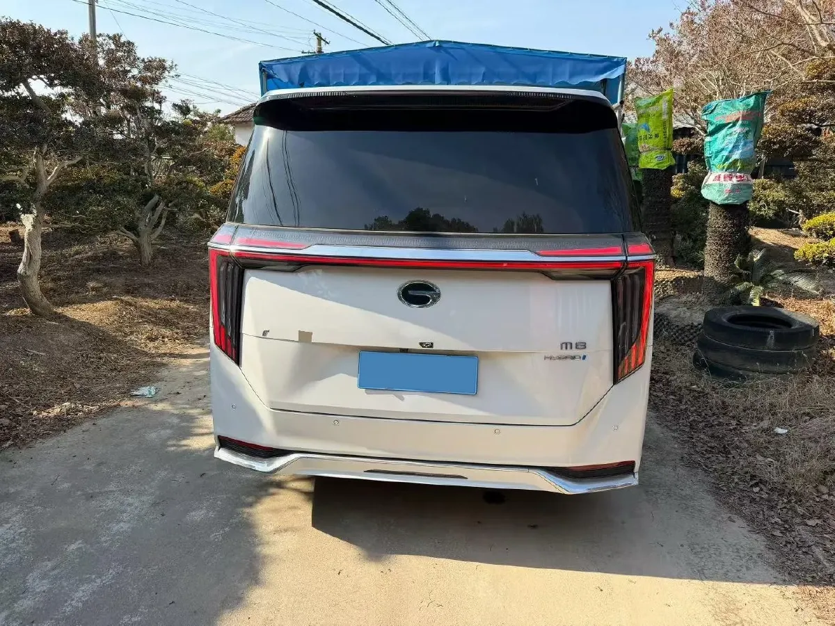2024 GAC Trumpchi M8 2.0T 190HP L4 2DHT Hybrid,autocango,china used car exporter,china ev exporter,chinese used car exporter,chinese used ev exporter