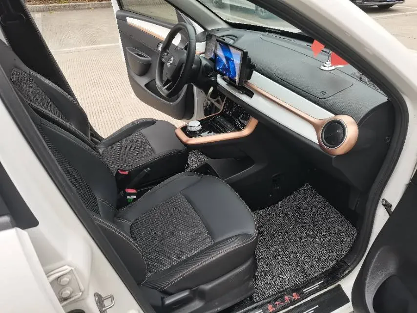 2023 LinkTour BinFen BEV 15.12KWH,autocango,china used car exporter,china ev exporter,chinese used car exporter,chinese used ev exporter