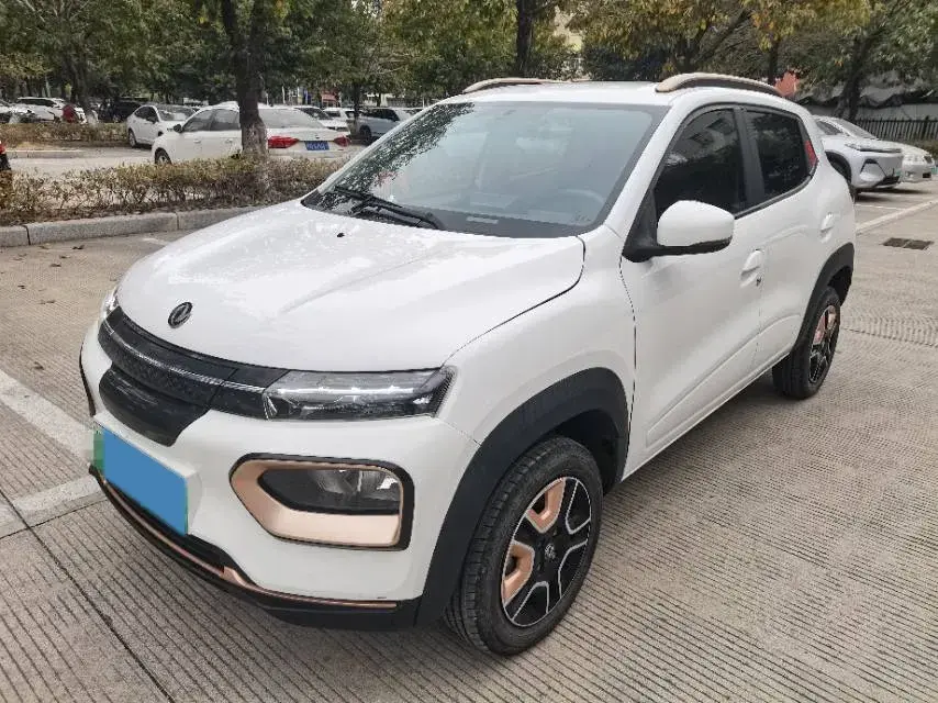 2023 LinkTour BinFen BEV 15.12KWH