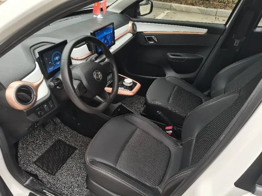 2023 LinkTour BinFen BEV 15.12KWH,autocango,china used car exporter,china ev exporter,chinese used car exporter,chinese used ev exporter