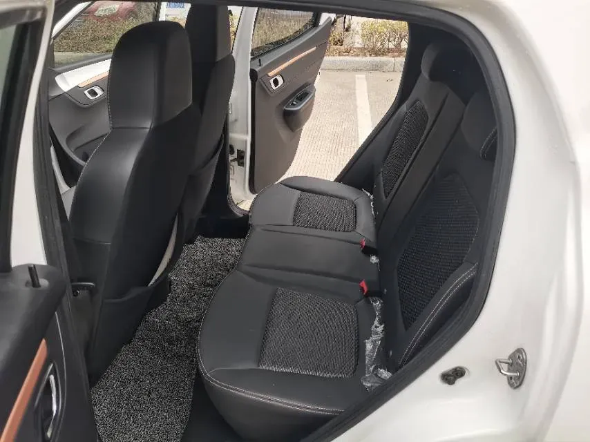 2023 LinkTour BinFen BEV 15.12KWH,autocango,china used car exporter,china ev exporter,chinese used car exporter,chinese used ev exporter