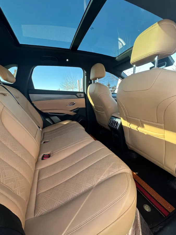 2024 BYD SongL DM-i 1.5L 101HP L4 E-CVT PHEV 18.3KWH,autocango,china used car exporter,china ev exporter,chinese used car exporter,chinese used ev exporter