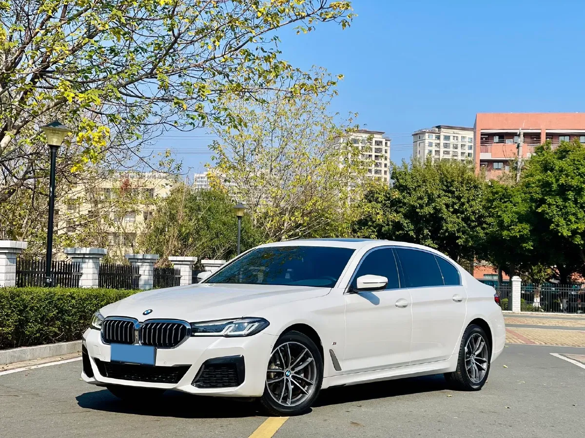 2022 BMW 5 Series 2.0T 184HP L4 8AT,autocango,china used car exporter,china ev exporter,chinese used car exporter,chinese used ev exporter