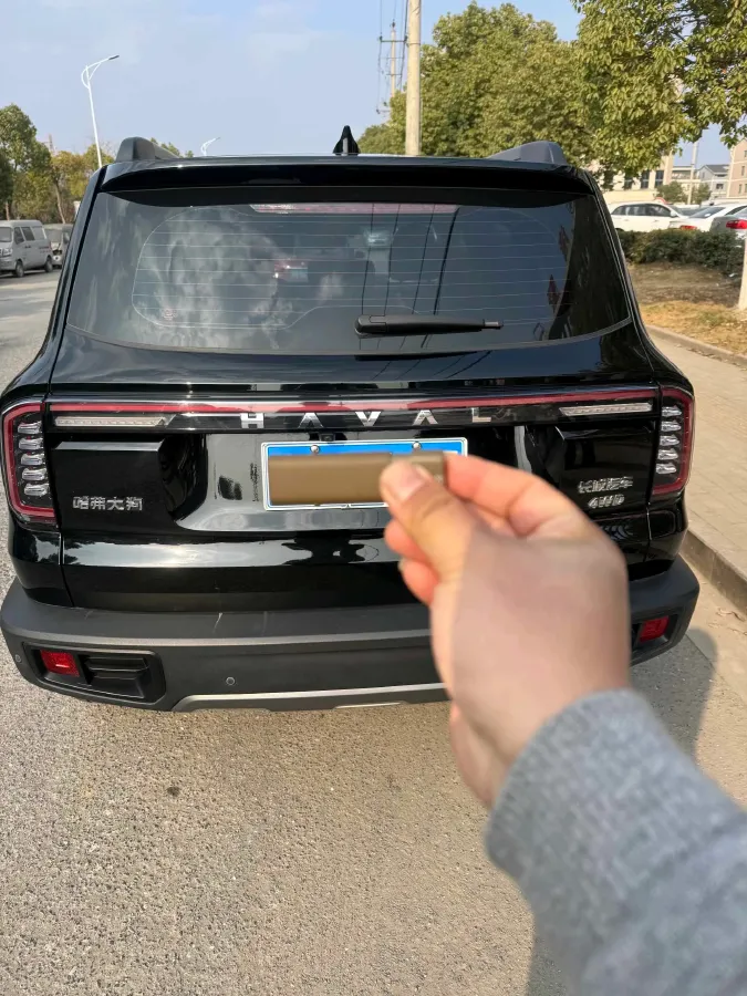 2024 Haval Dargo 2.0T 238HP L4 9DCT,autocango,china used car exporter,china ev exporter,chinese used car exporter,chinese used ev exporter