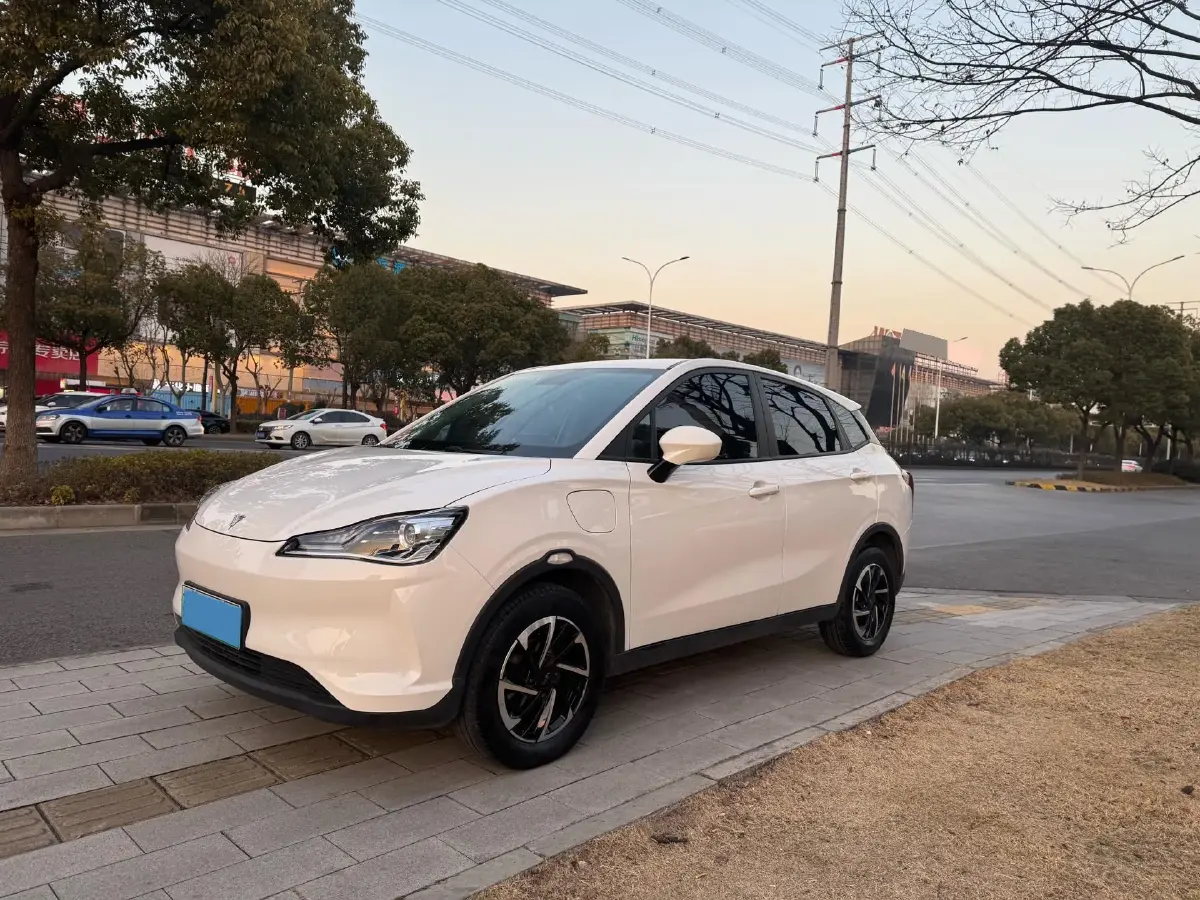 2021 Neta V BEV 38.54KWH