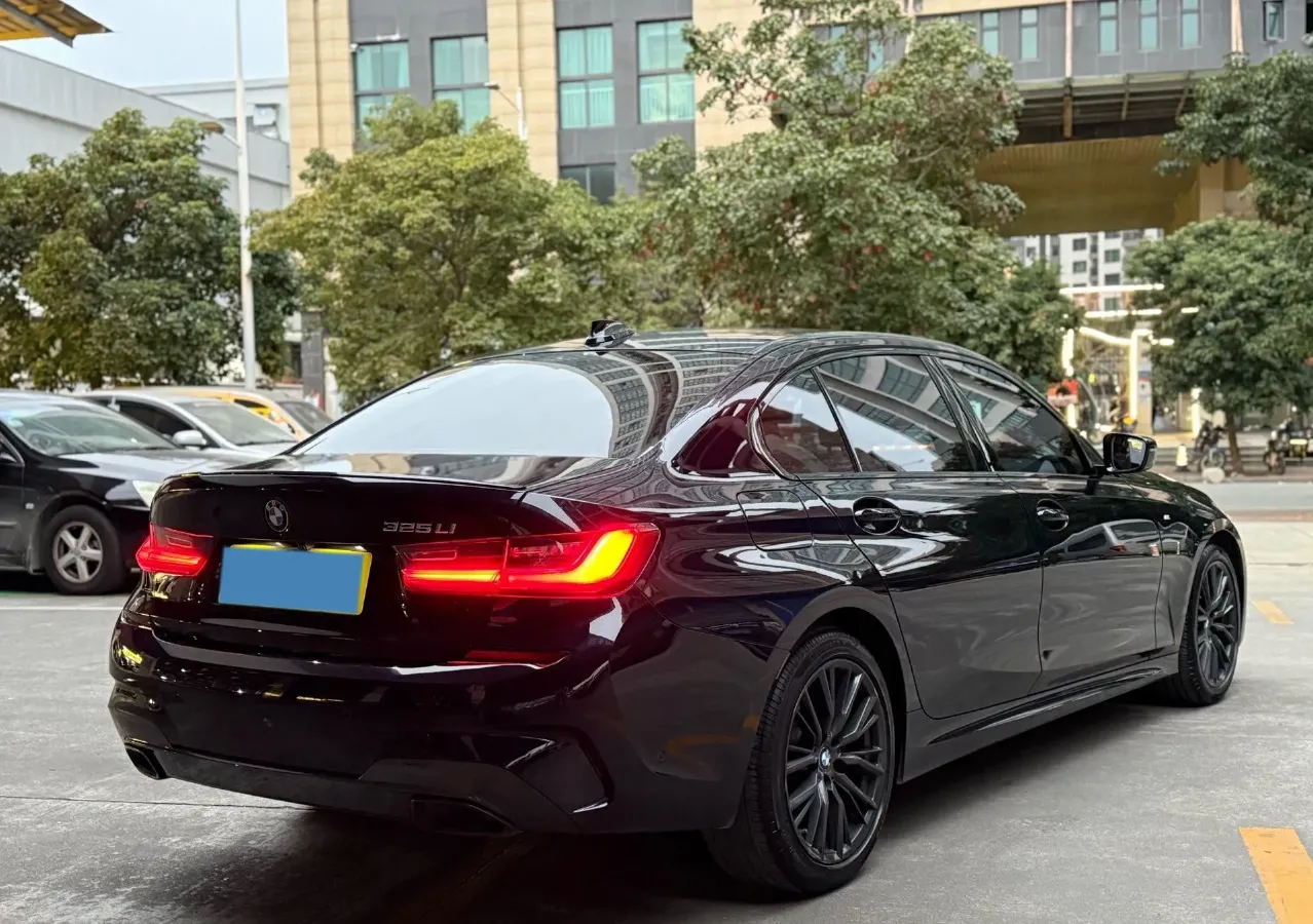 2020 BMW 3 Series 2.0T 184HP L4 8AT,autocango,china used car exporter,china ev exporter,chinese used car exporter,chinese used ev exporter