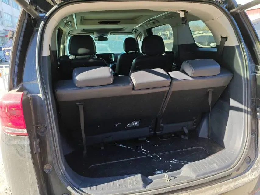 2021 GAC Trumpchi M8 2.0T 252HP L4 8AT,autocango,china used car exporter,china ev exporter,chinese used car exporter,chinese used ev exporter