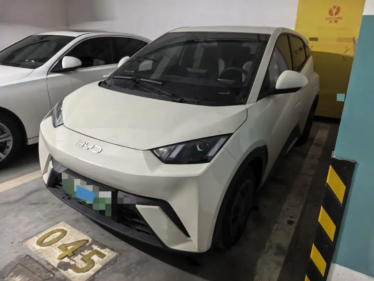 2024 BYD Seagull BEV 30.08KWH