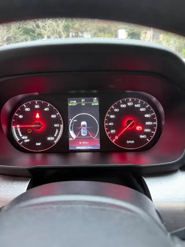 2019 BYD Qin BEV 53.1KWH,autocango,china used car exporter,china ev exporter,chinese used car exporter,chinese used ev exporter