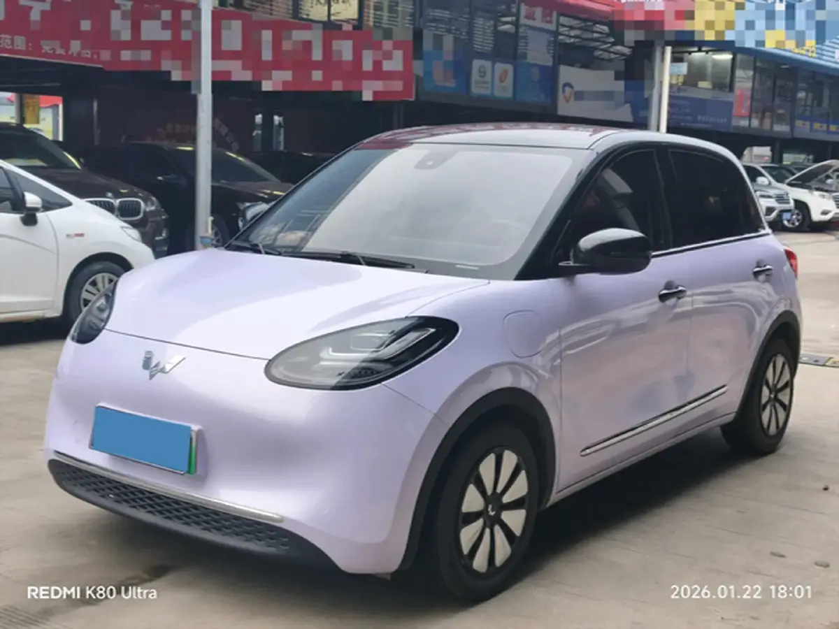 2023 WuLing BinGuo BEV 31.9KWH