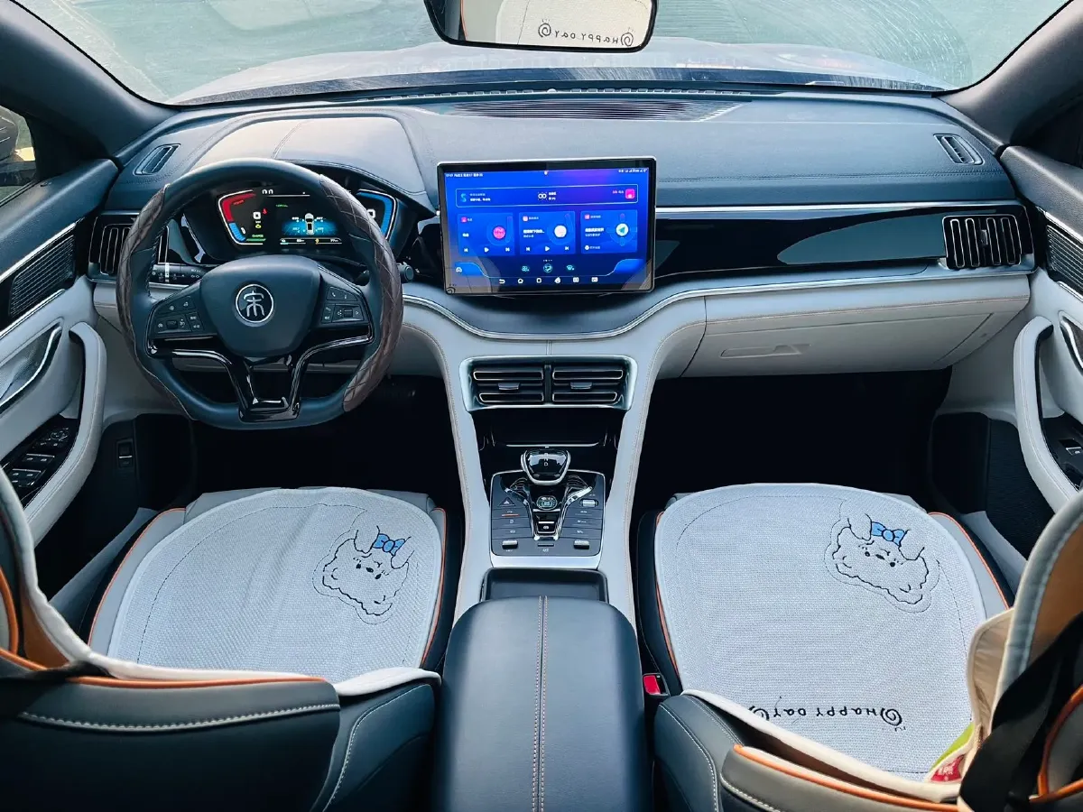 2021 BYD Qin BEV 53.56KWH,autocango,china used car exporter,china ev exporter,chinese used car exporter,chinese used ev exporter