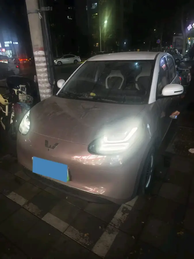 2023 WuLing BinGuo BEV 31.9KWH