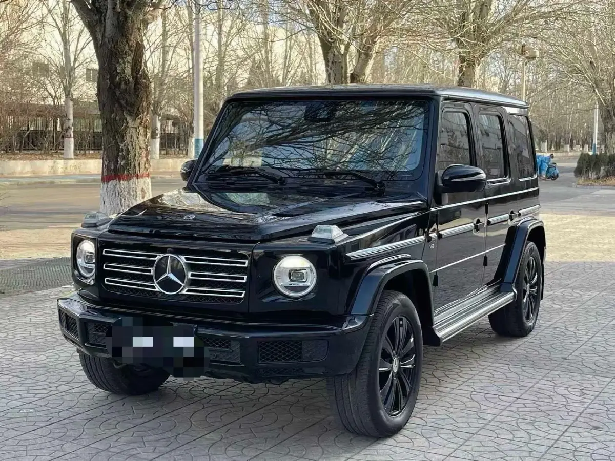 2020 Mercedes-Benz G Class 2.0T 258HP L4 9AT