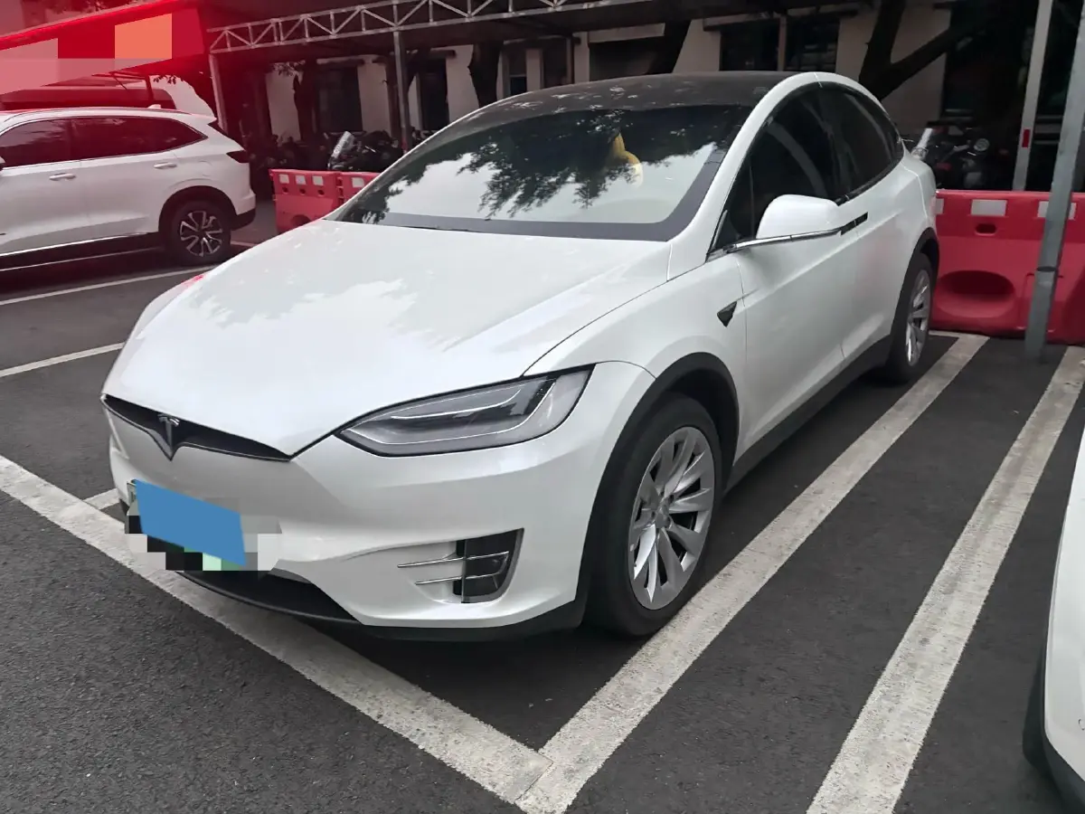 2019 Tesla Model X BEV 100KWH