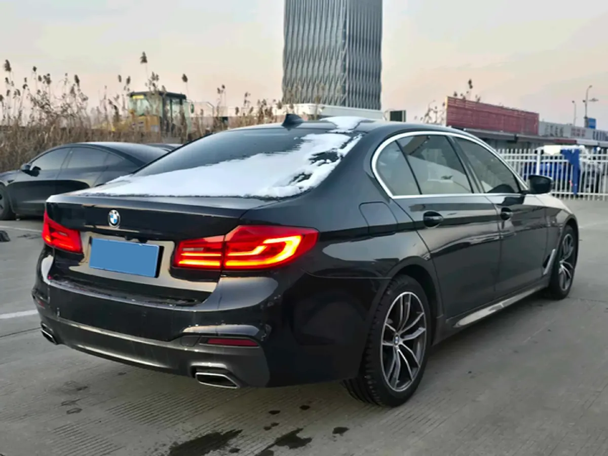 2020 BMW 5 Series 2.0T 184HP L4 8AT,autocango,china used car exporter,china ev exporter,chinese used car exporter,chinese used ev exporter