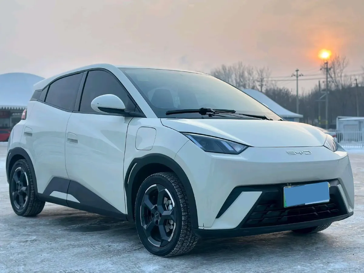 2023 BYD Seagull BEV 38.88KWH,autocango,china used car exporter,china ev exporter,chinese used car exporter,chinese used ev exporter