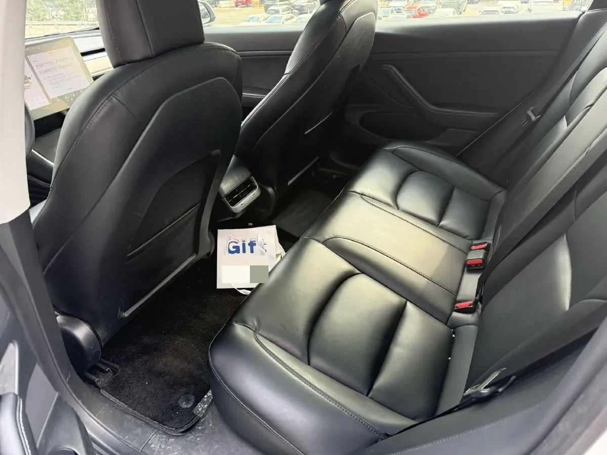 2020 Tesla Model 3 BEV 52KWH,autocango,china used car exporter,china ev exporter,chinese used car exporter,chinese used ev exporter