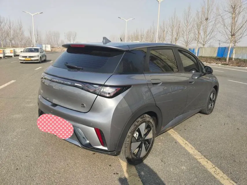 2023 BYD Dolphin BEV 44.928KWH,autocango,china used car exporter,china ev exporter,chinese used car exporter,chinese used ev exporter