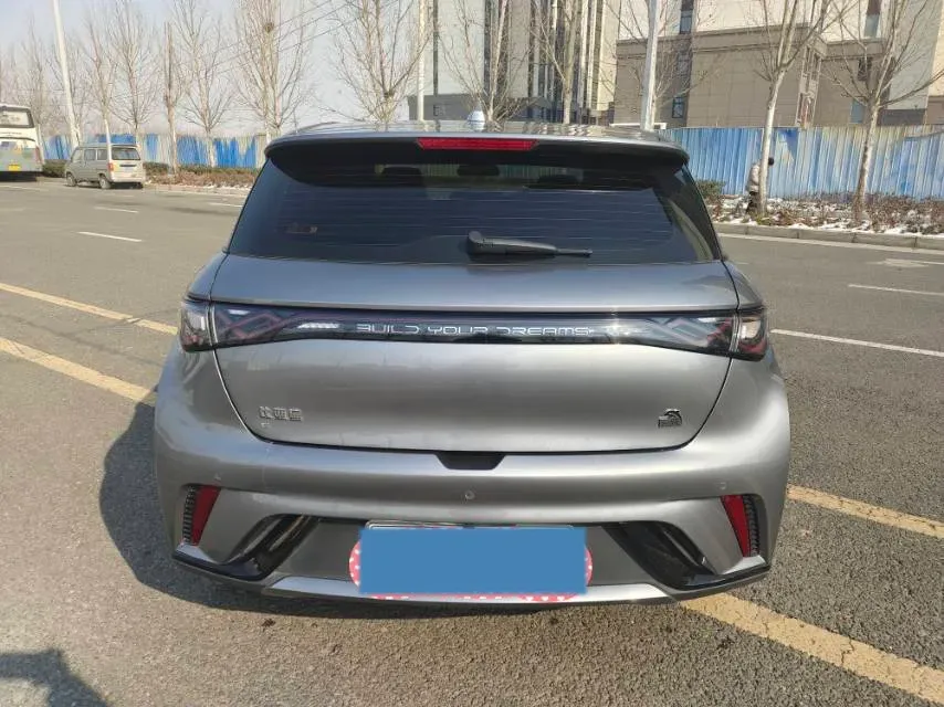 2023 BYD Dolphin BEV 44.928KWH,autocango,china used car exporter,china ev exporter,chinese used car exporter,chinese used ev exporter