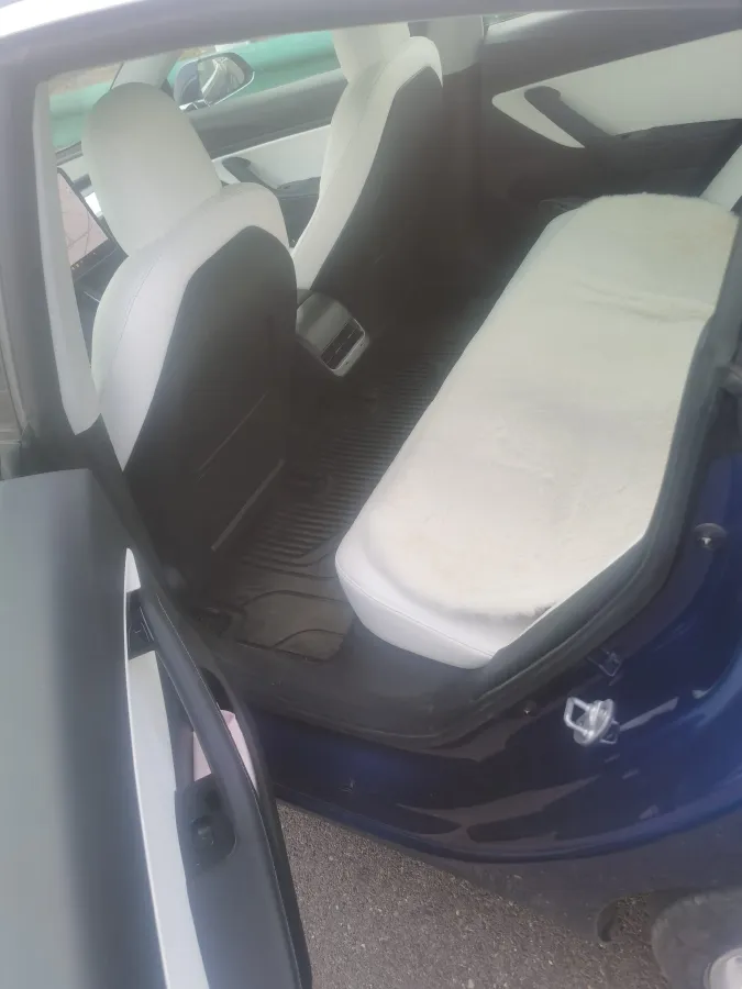 2020 Tesla Model 3 BEV 52KWH,autocango,china used car exporter,china ev exporter,chinese used car exporter,chinese used ev exporter