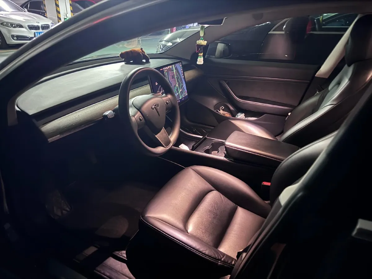 2020 Tesla Model 3 BEV 52KWH,autocango,china used car exporter,china ev exporter,chinese used car exporter,chinese used ev exporter