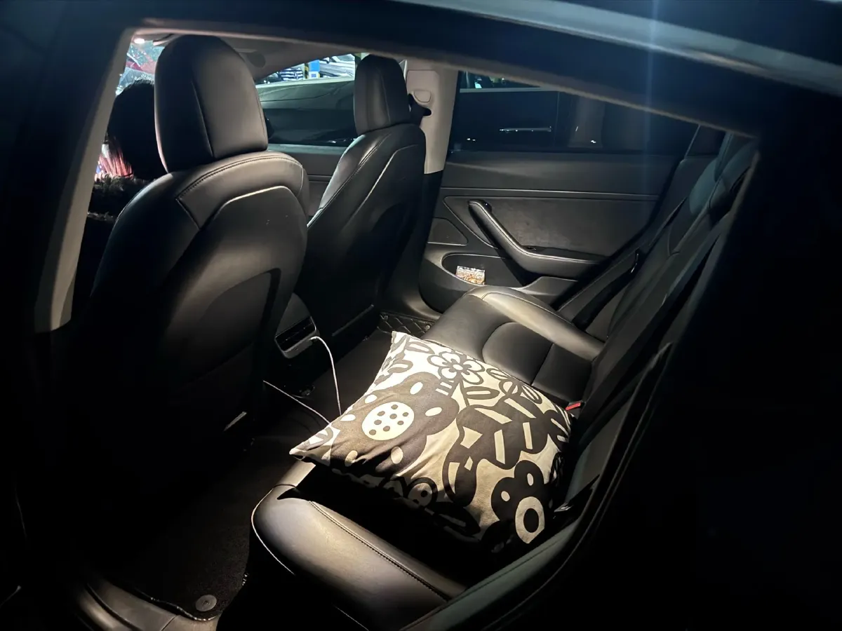 2020 Tesla Model 3 BEV 52KWH,autocango,china used car exporter,china ev exporter,chinese used car exporter,chinese used ev exporter