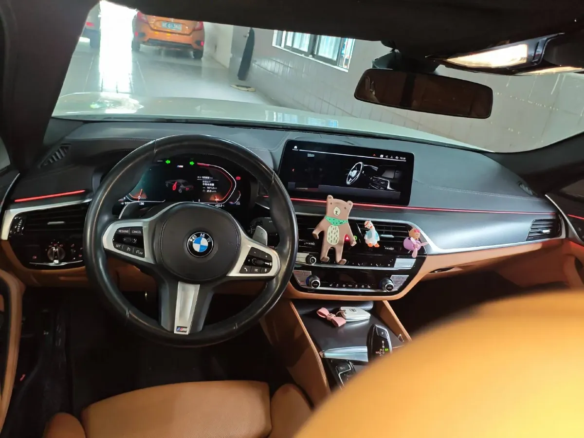 2021 BMW 5 Series 2.0T 252HP L4 8AT,autocango,china used car exporter,china ev exporter,chinese used car exporter,chinese used ev exporter