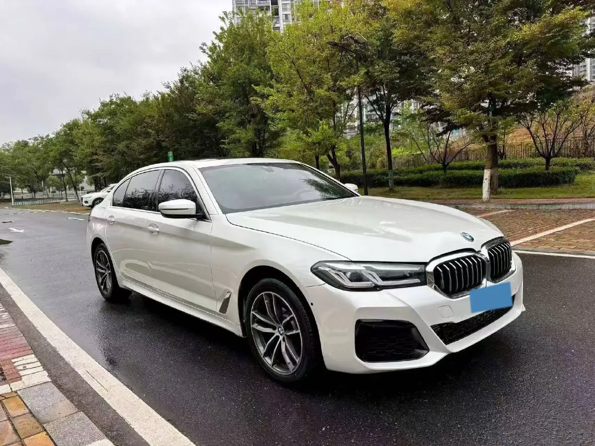 2021 BMW 5 Series 2.0T 184HP L4 8AT,autocango,china used car exporter,china ev exporter,chinese used car exporter,chinese used ev exporter